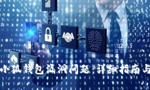 如何处理小狐钱包漏洞问题：详细指南与解决方案
