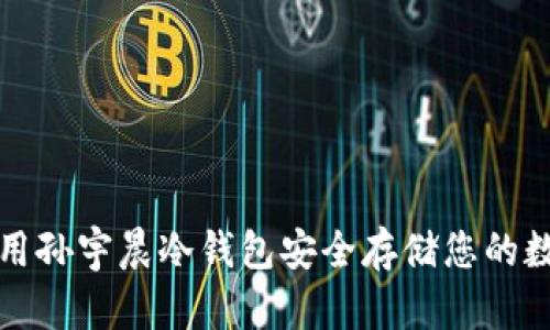 如何使用孙宇晨冷钱包安全存储您的数字资产