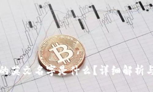 小狐钱包的英文名字是什么？详细解析与使用指南