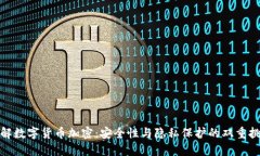 破解数字货币加密：安全性与隐私保护的双重挑