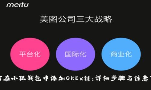 如何在小狐钱包中添加OKEx链：详细步骤与注意事项