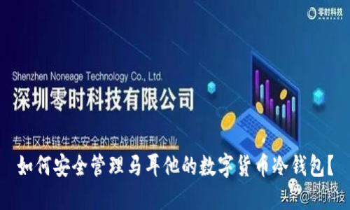 如何安全管理马耳他的数字货币冷钱包？