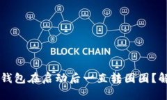 为什么小狐钱包在启动后一直转圈圈？解决方法