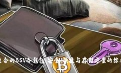 选择适合的BSV冷钱包：安全、便捷与存储方案的