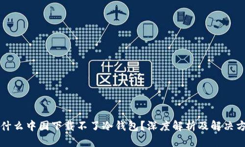 为什么中国下载不了冷钱包？深度解析及解决方案
