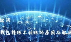 和关键词TP冷钱包转账不到账的原因及解决方案