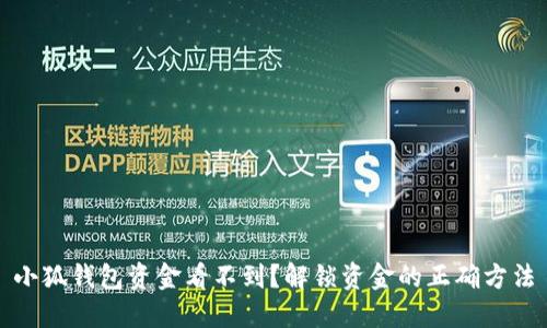 小狐钱包资金看不到？解锁资金的正确方法