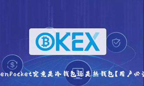 : TokenPocket究竟是冷钱包还是热钱包？用户必读指南