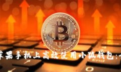 如何在苹果手机上高效使用小狐钱包：全面指南