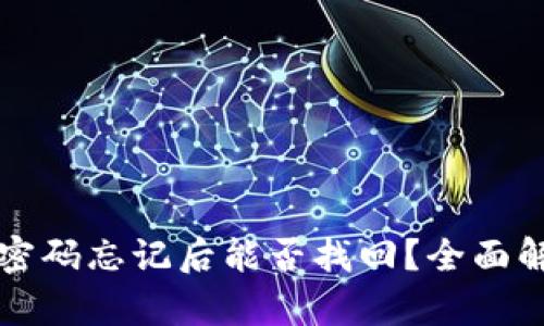 以太坊钱包密码忘记后能否找回？全面解析解决方案