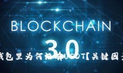 : 冷钱包里为何没有USDT？关键因素解析