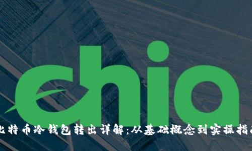 比特币冷钱包转出详解：从基础概念到实操指南