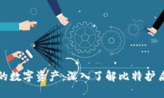 保护您的数字资产：深入了解比特护盾冷钱包