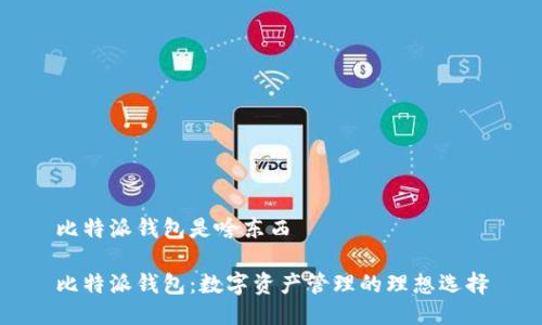 比特派钱包是啥东西

比特派钱包：数字资产管理的理想选择
