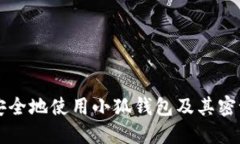 如何安全地使用小狐钱包及其密语设置