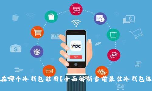 现在哪个冷钱包能用？全面解析当前最佳冷钱包选择