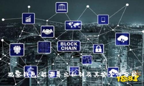 观察钱包：能否导出私钥及其安全性分析