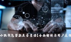 小狐钱包贷款是否靠谱？全面解析与用户反馈
