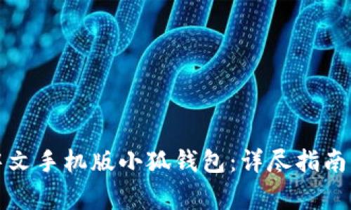 如何快速安装中文手机版小狐钱包：详尽指南与常见问题解答