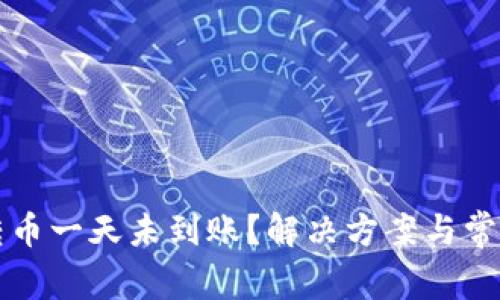 小狐钱包转币一天未到账？解决方案与常见问题解析
