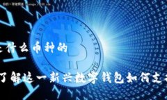 小狐钱包是什么币种的小狐钱包：了解这一新兴
