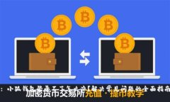 : 小狐钱包登录不了怎么办？解决常见问题的全面