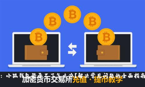 : 小狐钱包登录不了怎么办？解决常见问题的全面指南