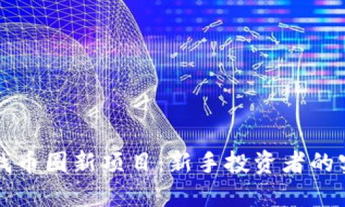 如何寻找币圈新项目：新手投资者的实用指南