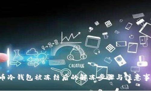 u币冷钱包被冻结后的解冻步骤与注意事项