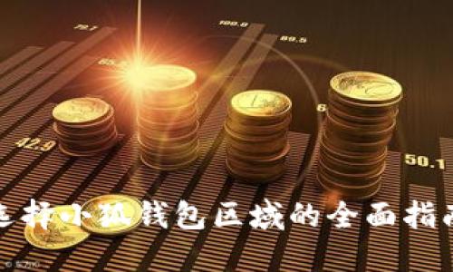 选择小狐钱包区域的全面指南