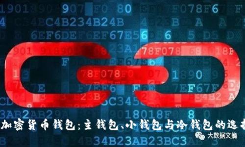  全面解析加密货币钱包：主钱包、小钱包与冷钱包的选择与安全性