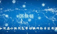 : 如何在小狐钱包中切换网络并使用体验