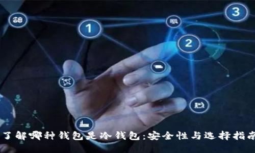 了解哪种钱包是冷钱包：安全性与选择指南