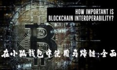 如何在小狐钱包中使用马蹄链：全面指南