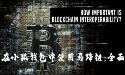 如何在小狐钱包中使用马蹄链：全面指南