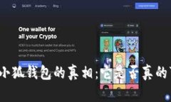 揭开小狐钱包的真相：它是否真的可靠？