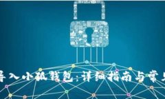 如何有效导入小狐钱包：详细指南与常见问题解