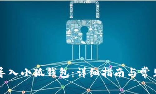 如何有效导入小狐钱包：详细指南与常见问题解析
