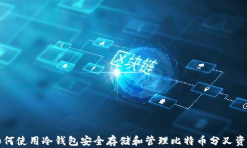 
如何使用冷钱包安全存储和管理比特币分叉资产