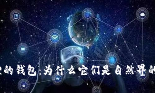 : 解密狐狸的钱包：为什么它们是自然界的理财专家？