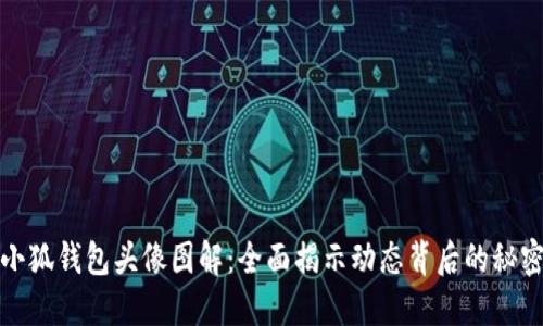 小狐钱包头像图解：全面揭示动态背后的秘密