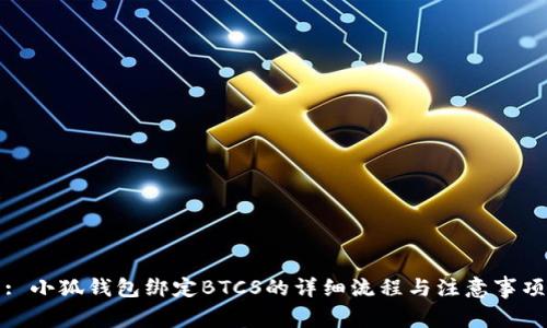 : 小狐钱包绑定BTCS的详细流程与注意事项
