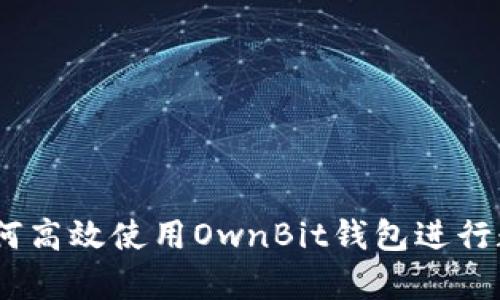 全面解析：如何高效使用OwnBit钱包进行数字资产管理