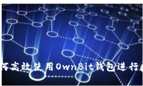 全面解析：如何高效使用OwnBit钱包进行数字资产管理
