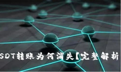 冷钱包中USDT转账为何消失？完整解析与解决方案