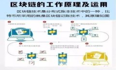 : 全面解析虚拟币品种及其特点