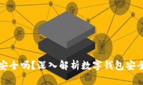 数字钱包的资产安全吗？深入解析数字钱包安全性及其风险防范