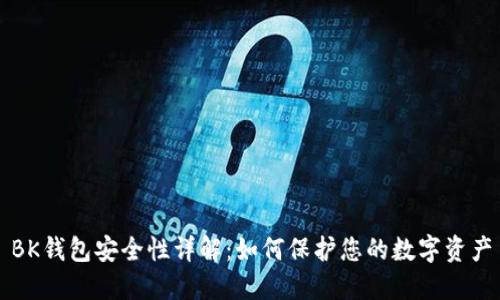 BK钱包安全性详解：如何保护您的数字资产
