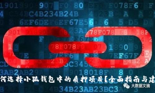 如何选择小狐钱包中的质押项目？全面指南与建议