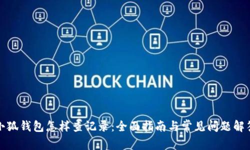 小狐钱包怎样查记录：全面指南与常见问题解答